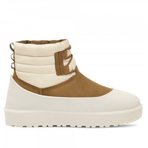 Ботинки UGG Men Classic Mini Lace-Up Weather Chestnut Whitecap