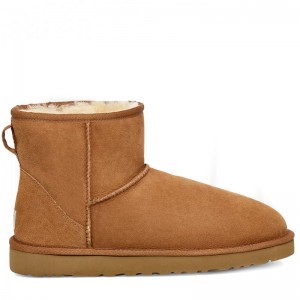 UGG Men Classic II Mini Chestnut