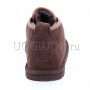 Угги ботинки мужские на шнурках коричневые UGG Mens Maksim Chocolate