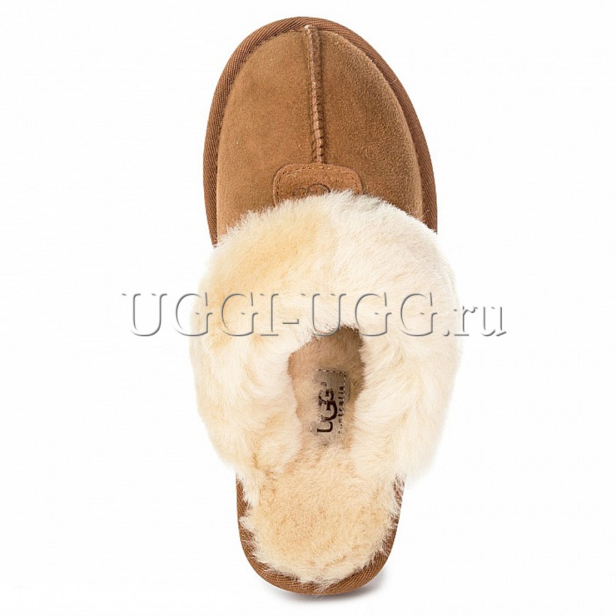 ugg mens slippers brown