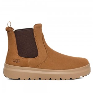 UGG Mens Burleigh Chelsea Chestnut