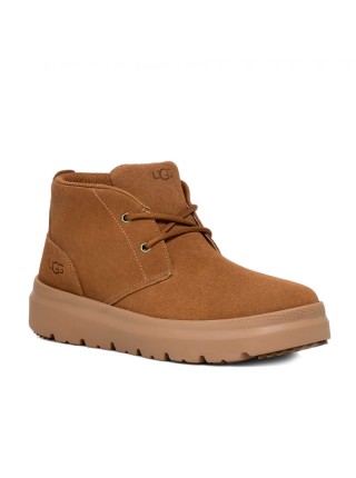 UGG Mens Burleigh Chukka Chestnut