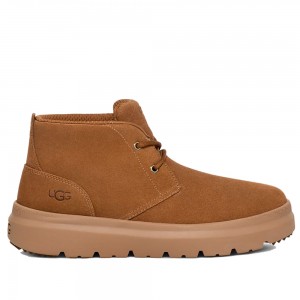 UGG Mens Burleigh Chukka Chestnut