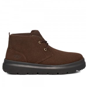 UGG Mens Burleigh Chukka Dusty Cocoa