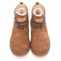 Мужские ботинки каштановые UGG Mens Neumel Gentleman Chestnut